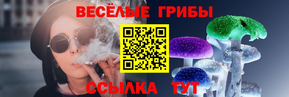 Галлюциногенные грибы Cubensis Белореченск